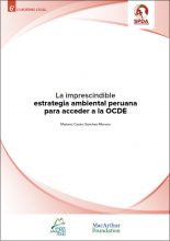La imprescindible estrategia ambiental peruana para acceder a la OCDE